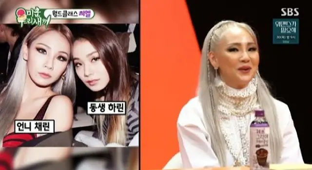 CL（元2NE1）、「実妹、顔は大人しい..化粧するとお互いに似ている」（画像提供:wowkorea）