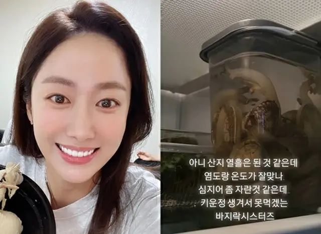 女優チョン・ヘビン、買ってきたアサリに“情”がわいて食べられない（画像提供:wowkorea）