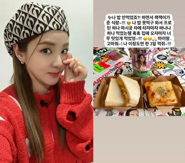 DARA（元2NE1）、ファンからの愛情たっぷりサンドイッチに感動（画像提供:wowkorea）