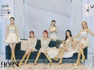 “カムバック間近”「Apink」、団体コンセプトフォトを公開