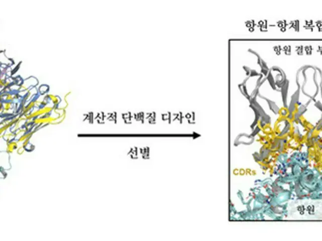 韓国の研究チーム、「汎用コロナ中和抗体」を開発…オミクロン株にも効果（画像提供:wowkorea）