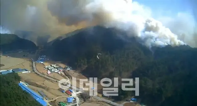 山火事3段階・国家危機警報「深刻」発令＝韓国江原道三陟市（画像提供:wowkorea）