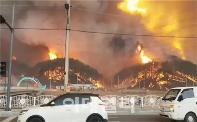 蔚珍・三陟の山火事、夜間消火体制へ…三陟LNG基地を守るため「総力戦」＝韓国報道（画像提供:wowkorea）