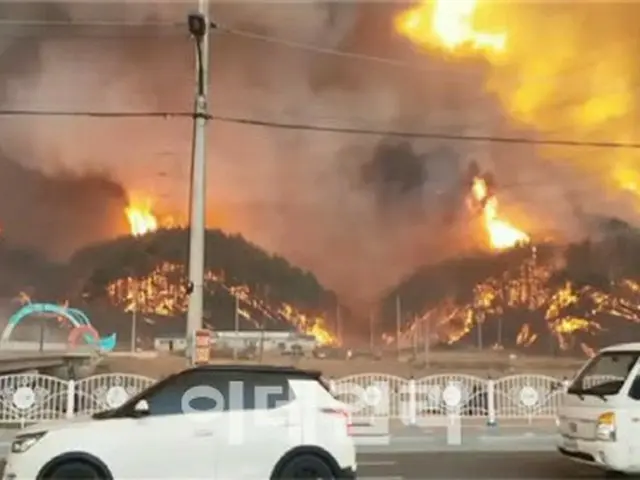 蔚珍・三陟の山火事、夜間消火体制へ…三陟LNG基地を守るため「総力戦」＝韓国報道（画像提供:wowkorea）