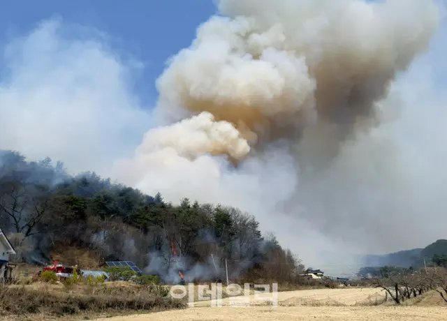 「植木日」に韓国・奉化など全国各地で山火事発生（画像提供:wowkorea）