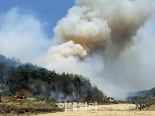 「植木日」に韓国・奉化など全国各地で山火事発生（画像提供:wowkorea）