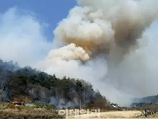 「植木日」に韓国・奉化など全国各地で山火事発生