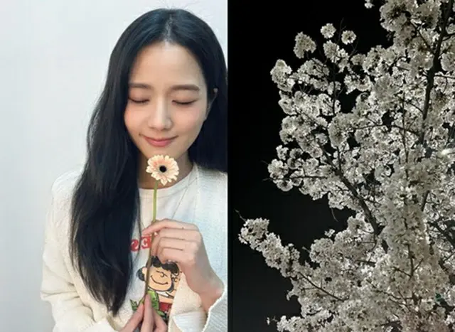 「BLACKPINK」JISOO、どんな花よりキレイ…”桜の花びらが舞う時”（画像提供:wowkorea）