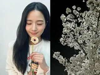 「BLACKPINK」JISOO、どんな花よりキレイ…”桜の花びらが舞う時”