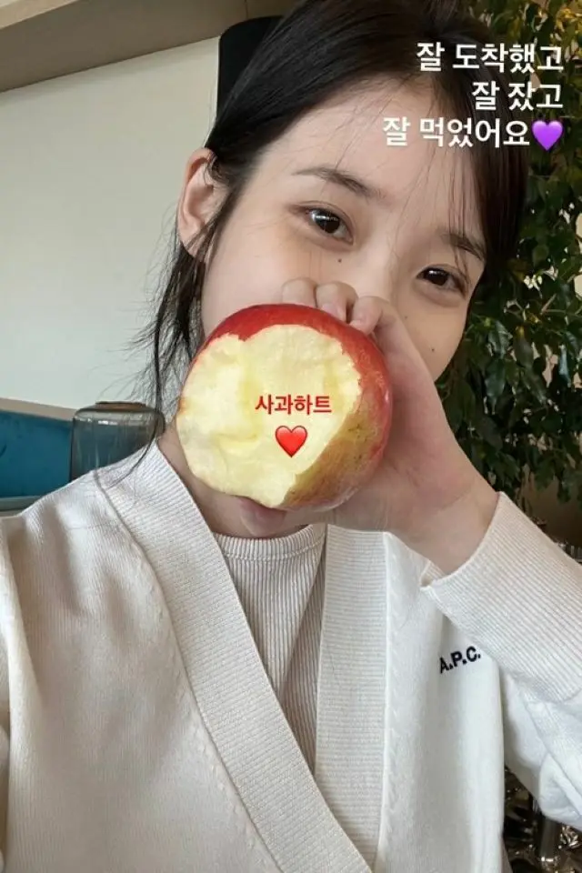 IU（アイユー）、すっぴんでカンヌ到着後の近況ショット…りんごで隠れちゃうくらいの小顔ぶり発揮（画像提供:wowkorea）