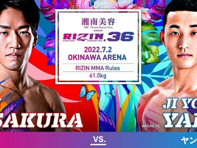 ROAD FC4連勝のヤン・ジヨン、朝倉海とRIZINで対戦へ（画像提供:wowkorea）