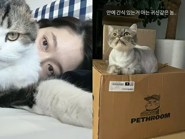 女優パク・シネ、出産後ペット猫の執事になっていた？（画像提供:wowkorea）