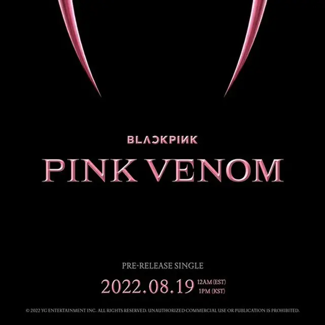 「BLACKPINK」、8月19日カムバック確定…タイトルは「Pink Venom」（画像提供:wowkorea）