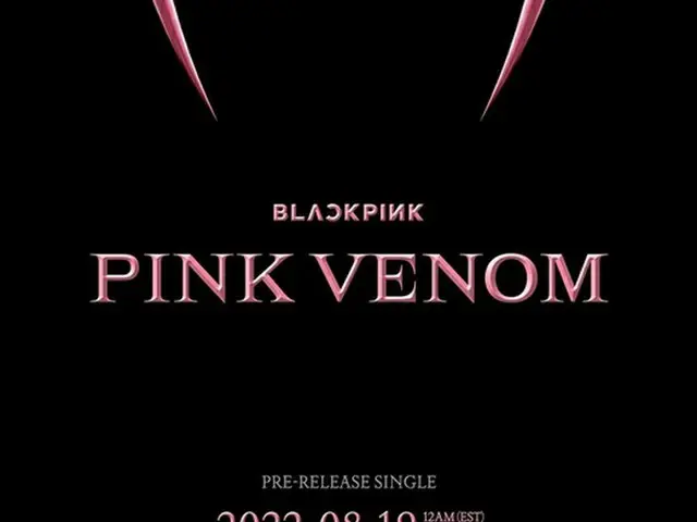 「BLACKPINK」、8月19日カムバック確定…タイトルは「Pink Venom」（画像提供:wowkorea）