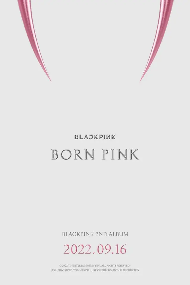 「BLACKPINK」2ndフルアルバム「BORN PINK」9月16日発売（画像提供:wowkorea）