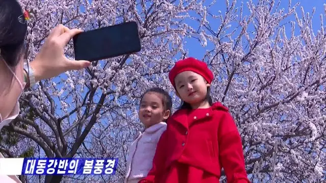 ピョンヤン（平壌）のテドンガン（大同江）沿いに咲いた桜を背景に子供たちをスマートフォンで撮影する北朝鮮の市民（画像提供:wowkorea）