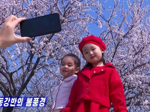 ピョンヤン（平壌）のテドンガン（大同江）沿いに咲いた桜を背景に子供たちをスマートフォンで撮影する北朝鮮の市民（画像提供:wowkorea）