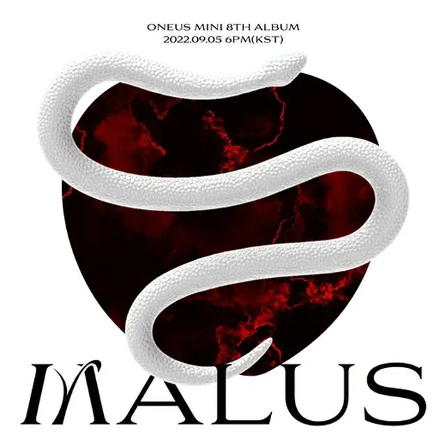 【公式】「ONEUS」、9月5日に8thミニアルバム「MALUS」でカムバック（画像提供:wowkorea）