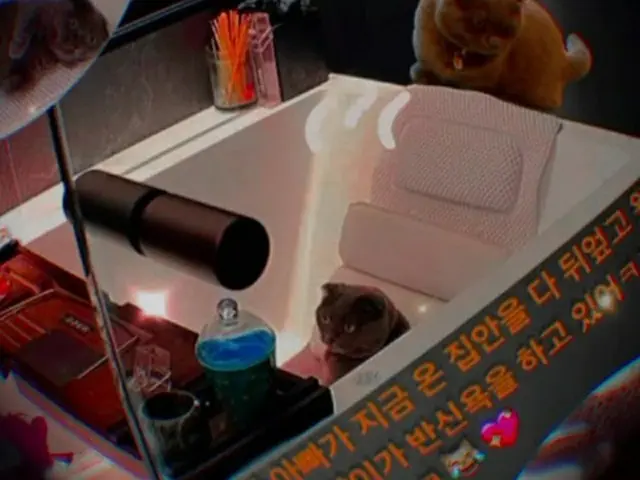 G-DRAGON（BIGBANG）、愛猫に「あふれんばかりの愛情」（画像提供:wowkorea）
