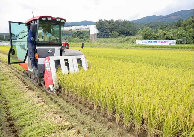 韓国の食品業界、高騰した小麦粉の代わりに「米粉」で製品開発に乗り出す（画像提供:wowkorea）