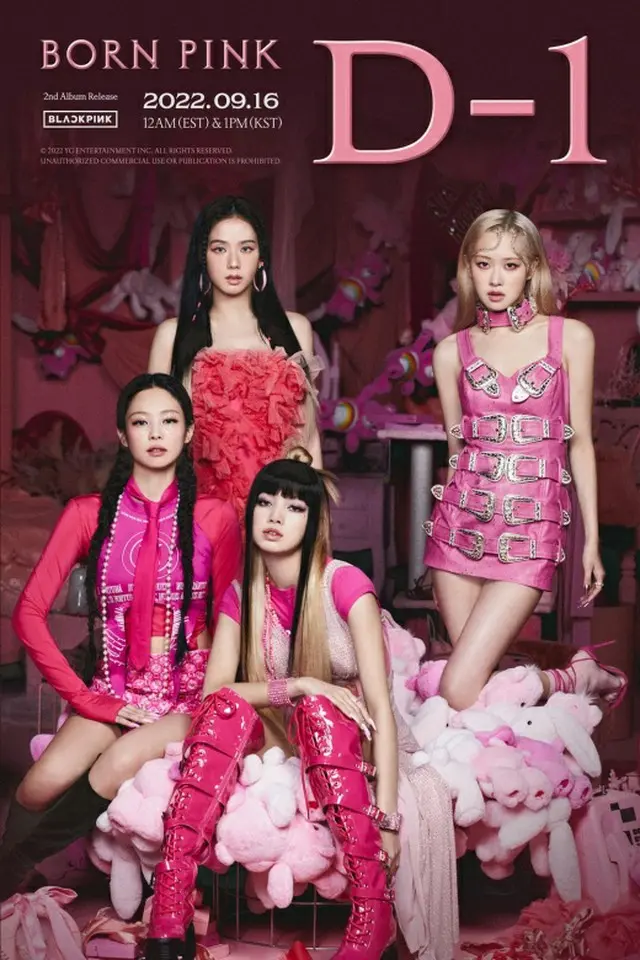 ”完璧に準備を終えた”「BLACKPINK」、カムバックまであと1日…一問一答を公開（画像提供:wowkorea）