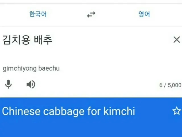 「Chinese cabbage for kimchi」？韓国教授、Google翻訳の「キムチ用 白菜」表記に一喝（画像提供:wowkorea）
