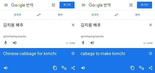 韓国教授が報告…Google「キムチ用 白菜」の英訳から「Chinese」が消えた（画像提供:wowkorea）