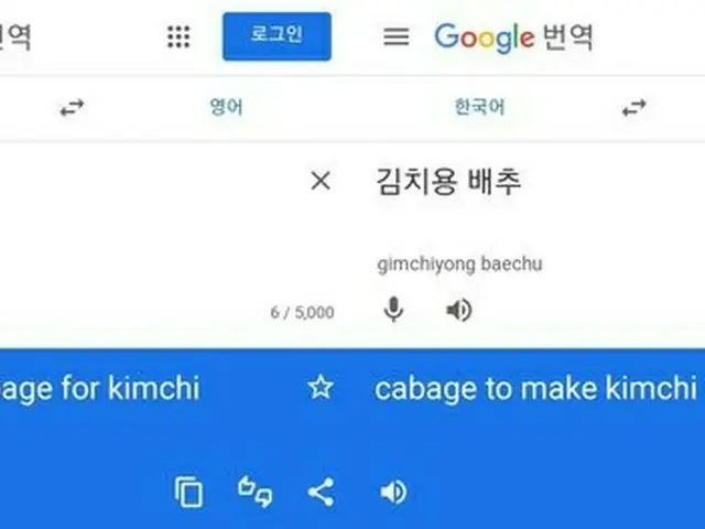 韓国教授が報告…Google「キムチ用 白菜」の英訳から「Chinese」が消えた（画像提供:wowkorea）