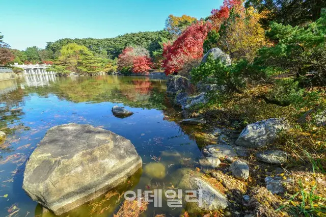 顕忠祠の紅葉（画像提供:wowkorea）