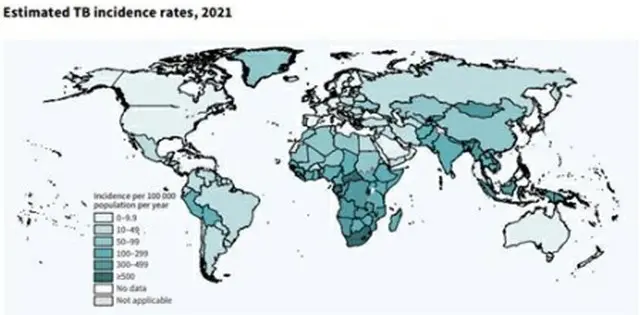 ＷＨＯが結核に関する２０２２年版の世界レポートを発表した（ＷＨＯホームページから）＝（聯合ニュース）≪転載・転用禁止≫