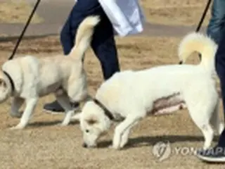 正恩氏から文前大統領に贈られた豊山犬　動物園で飼育へ