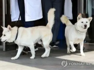 正恩氏から文前韓国大統領に贈られた犬　動物園に移送