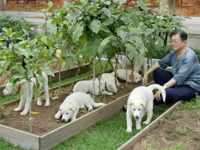 文前大統領が返還した豊山犬…きょう光州市の動物園に到着（画像提供:wowkorea）