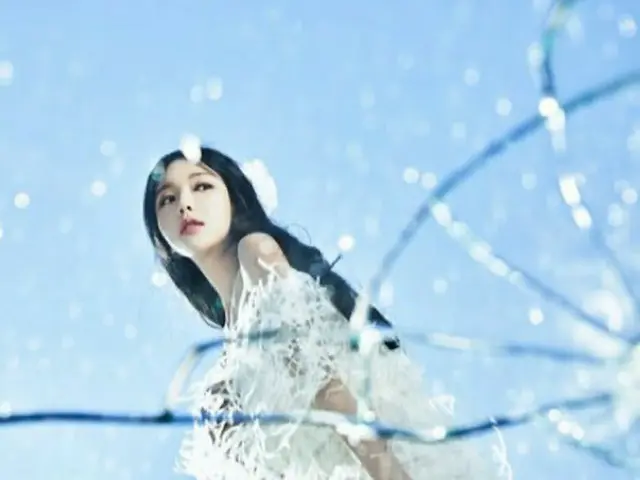歌手ホン・ジニョン、「Girl in the mirror」LAデイリー紙「K-POPコラボレーションTOP10」に選定（画像提供:wowkorea）