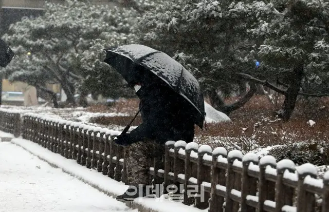 屋久島で登山中の30代韓国人が行方不明...大雪で捜索難航（画像提供:wowkorea）