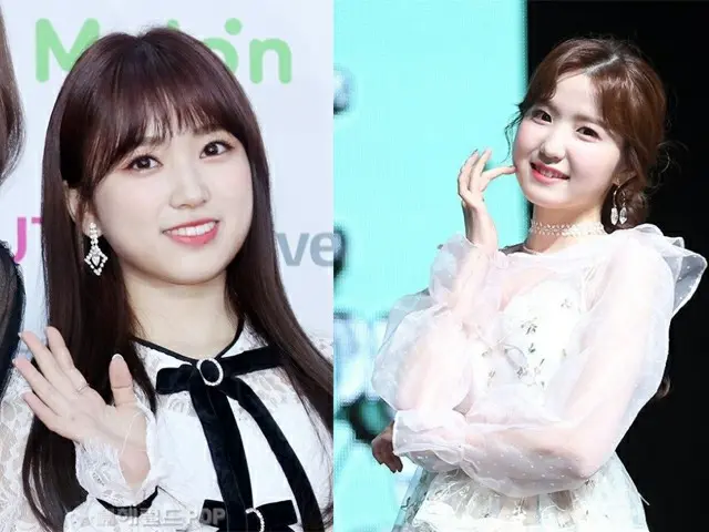 「IZ*ONE」で活動していた矢吹奈子＆本田仁美、再びK-POPガールズグループデビューに向けて挑戦か（画像提供:wowkorea）