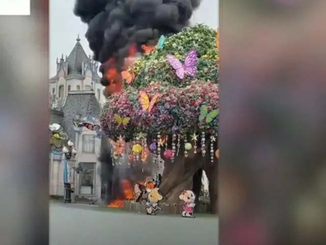 韓国テーマパーク「エバーランド」で火災、”大きな木”の造形物から出火…観光客は避難（画像提供:wowkorea）