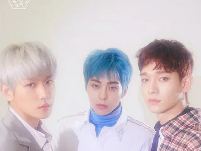 「EXO-CBX」、SMを公正取引委員会に提訴”不公正契約行為を継続”（画像提供:wowkorea）