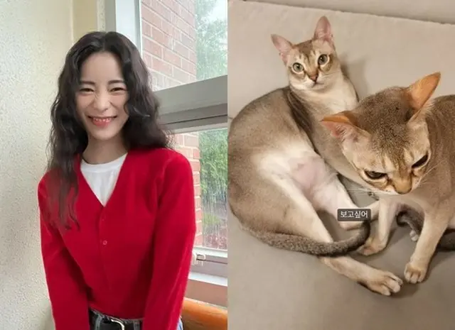 女優イム・ジヨンが愛猫たちへの愛情を見せた（画像提供:wowkorea）