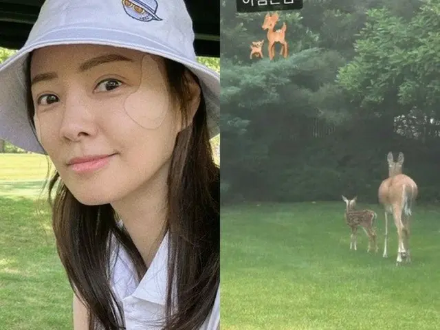 俳優クォン・サンウ＆ソン・テヨン夫妻の米国自宅、庭への来客は”鹿の親子”（画像提供:wowkorea）