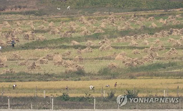 昨年１０月、韓国北西部・仁川の江華平和展望台から見た北朝鮮・黄海北道の農村。住民が収穫作業を行っている＝（聯合ニュース）