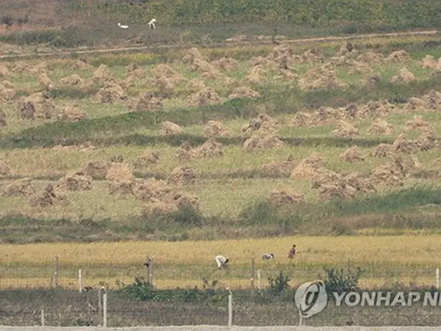 昨年１０月、韓国北西部・仁川の江華平和展望台から見た北朝鮮・黄海北道の農村。住民が収穫作業を行っている＝（聯合ニュース）