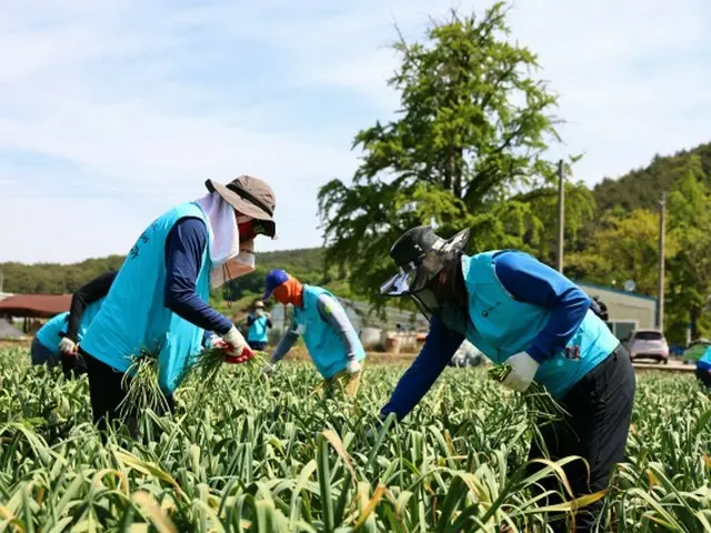 人口減少の韓国、外国人労働者に依存しながらも「保護は不十分」＝米メディア