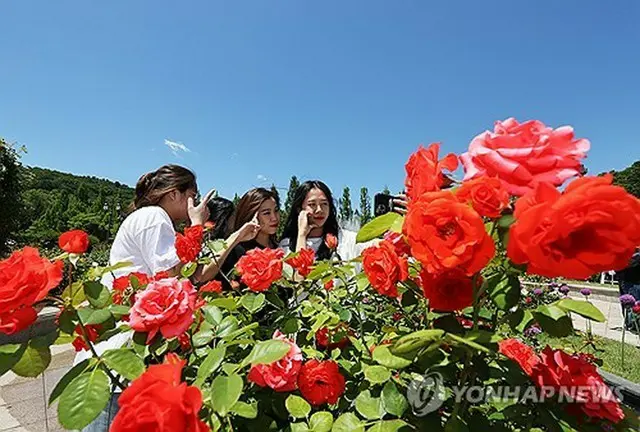 ソウル近郊のテーマパーク、エバーランド（京畿道竜仁市）のバラ園を訪れた人たち（資料写真）＝（聯合ニュース）