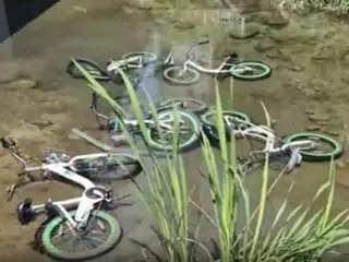ソウル市の公共自転車タルンイ12台、川に捨てられる…警察が捜査中