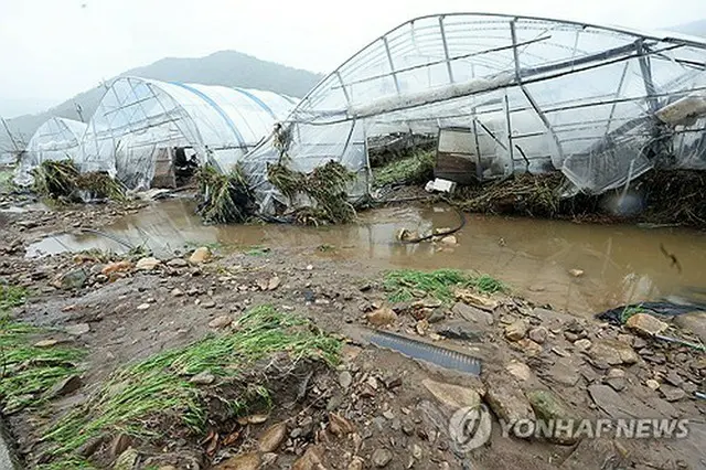 大雨の影響で倒壊した全北特別自治道完州郡のビニールハウス＝１０日、完州（聯合ニュース）