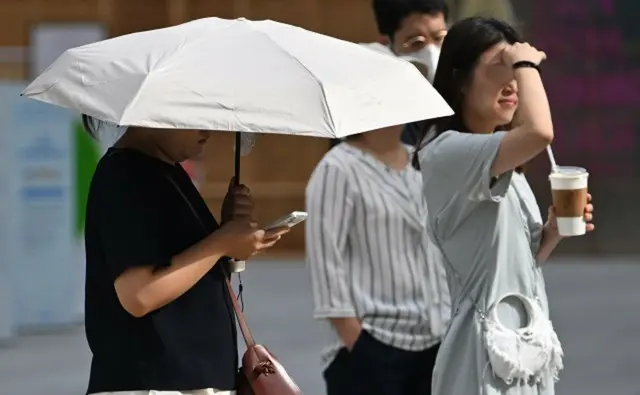 「猛暑」の続く光州・全羅南道で…一日に家畜3万匹が「へい死」＝韓国