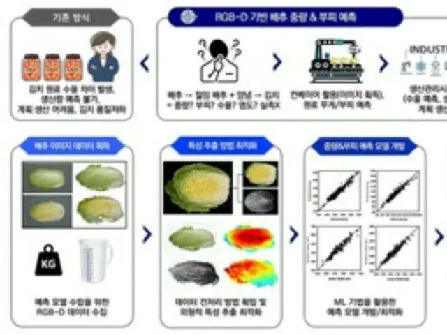 AIでハクサイの重さと体積を予測する技術を開発＝韓国世界キムチ研究所