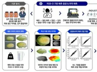 AIでハクサイの重さと体積を予測する技術を開発＝韓国世界キムチ研究所