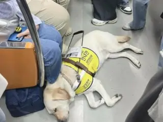 満員の地下鉄の車内で疲れて眠った盲導犬…乗客らからの暖かな対応＝韓国報道